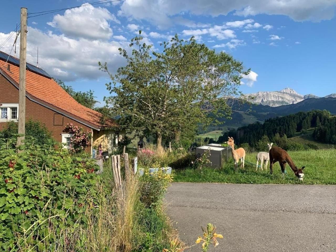 Ferienwohnung Tiererlebnishof Windegg Urnäsch Exterior foto